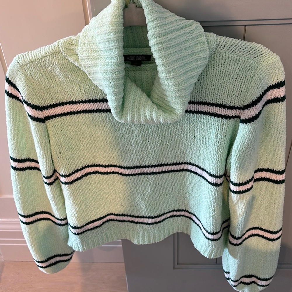 •WILD FABLE•NWOT MINT STRIPE COWLNWCK CHENILLE BALLON SLEEVE SWEATER SIZE M